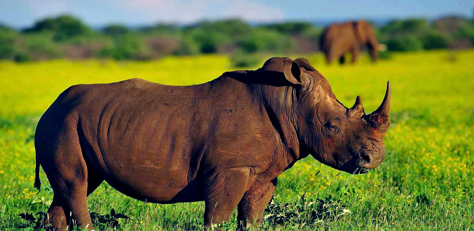 African Safari Holidays & Tanzania Adventure Tours with Rhino Explorer