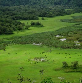 Arusha National Park