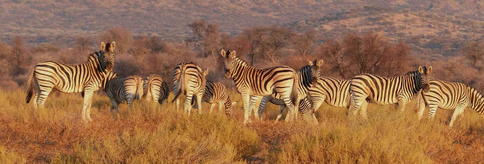 Arusha National Park