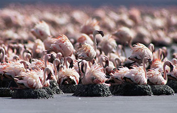 Lake Natron National Park