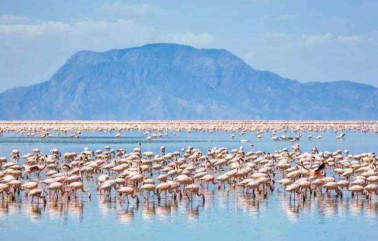 Lake Natron National Park