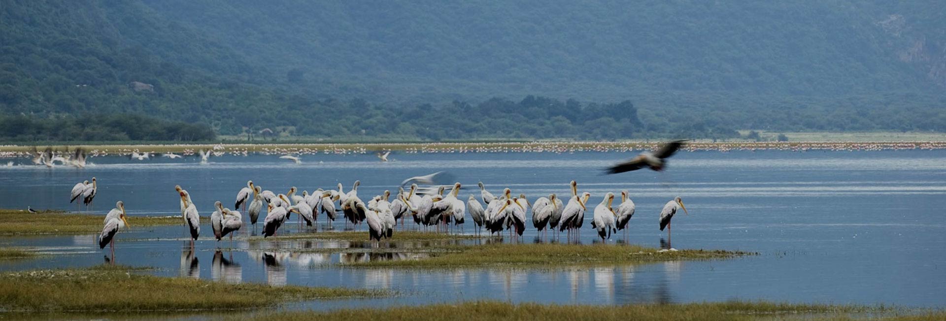 Lake Manyara National Park