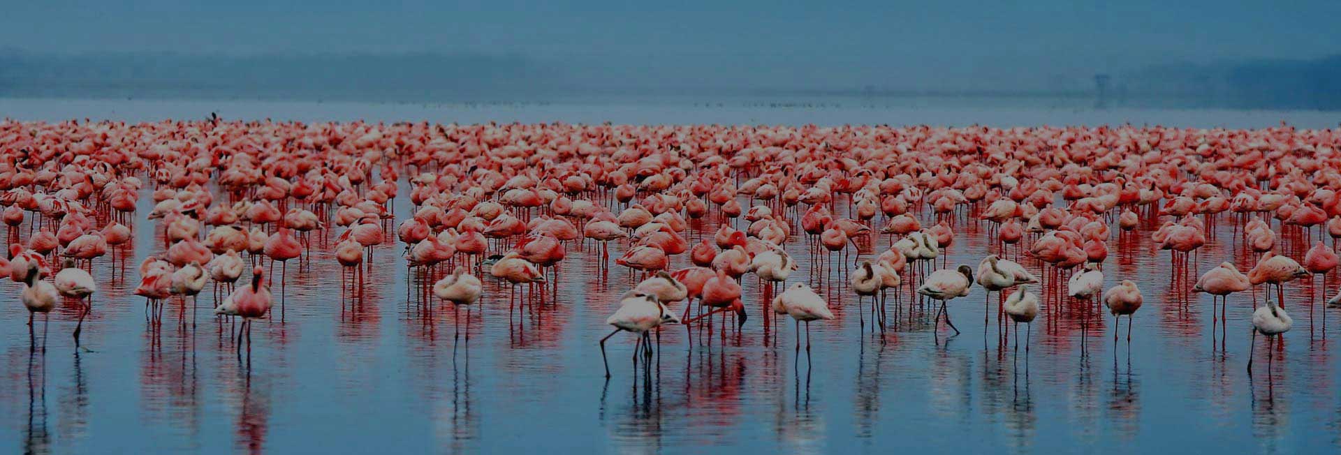 Lake Natron National Park