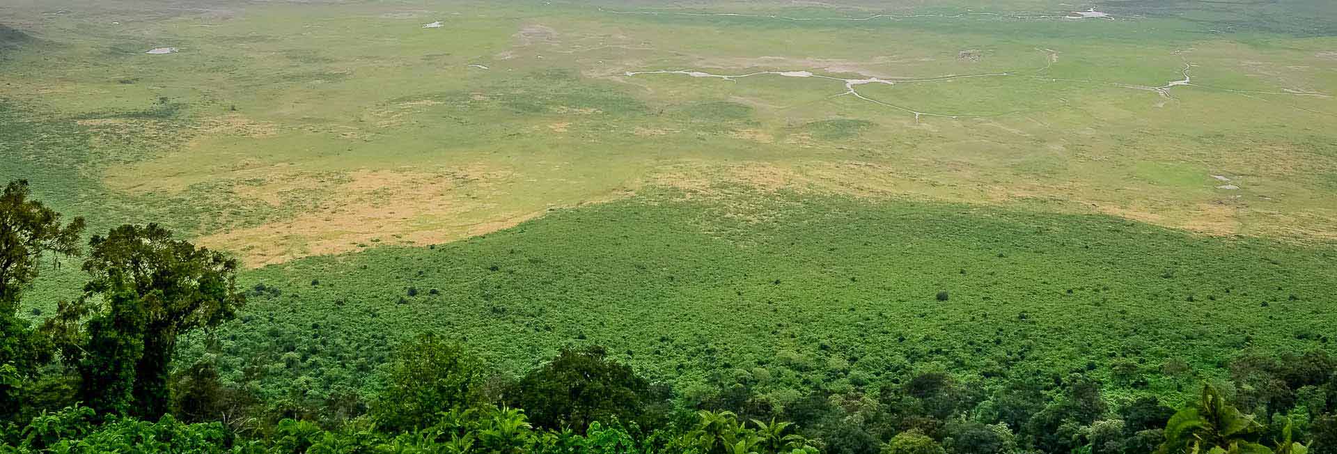 Ngorongoro Conservation Area