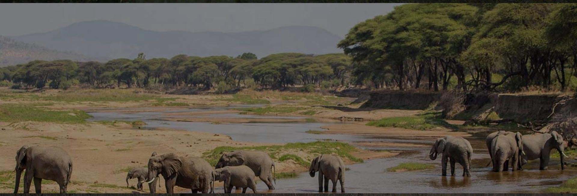 Ruaha National Park