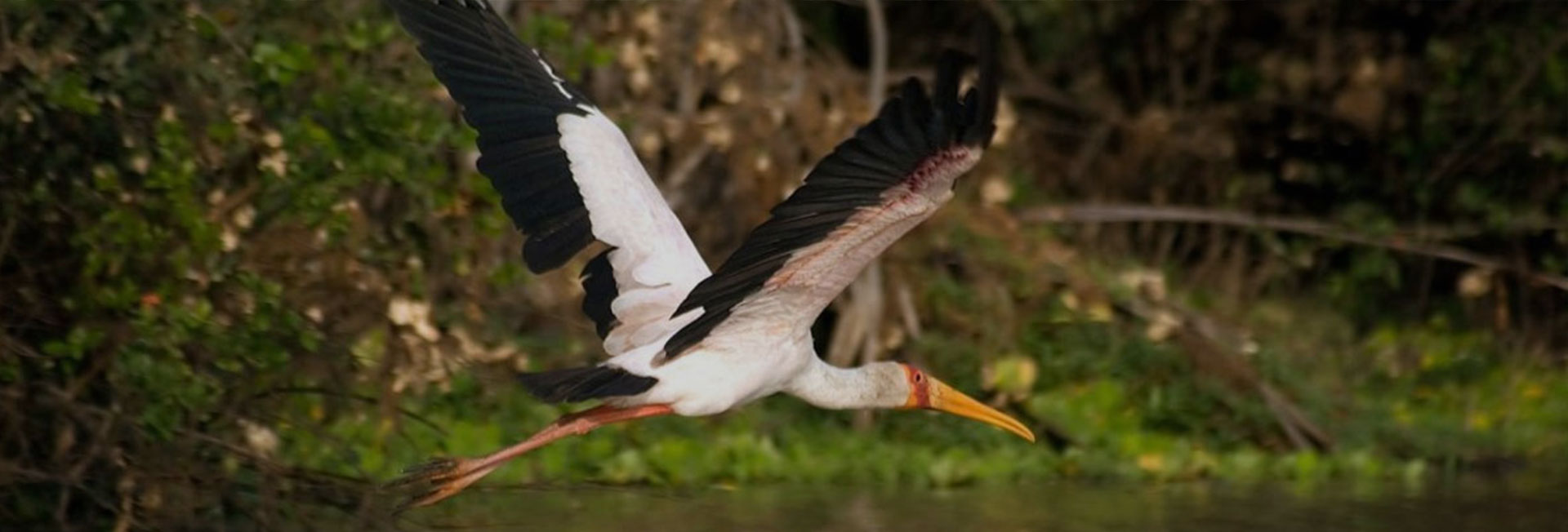 Rubonodo National Park