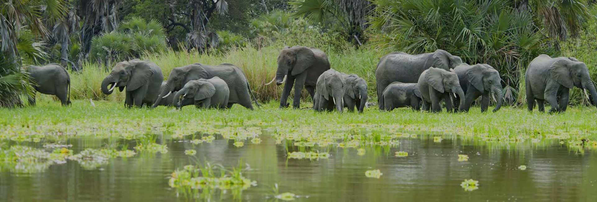 Selous Game Reserve