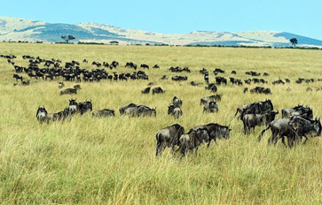 Serengeti National Park