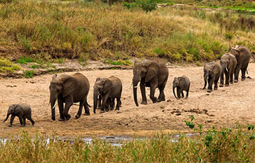 Tarangire National Park