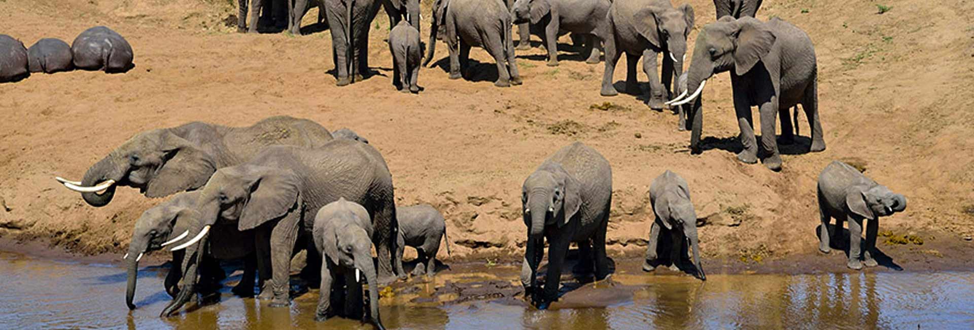 Tarangire National Park