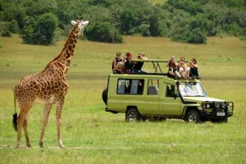 10 Days Private Safari Tanzania