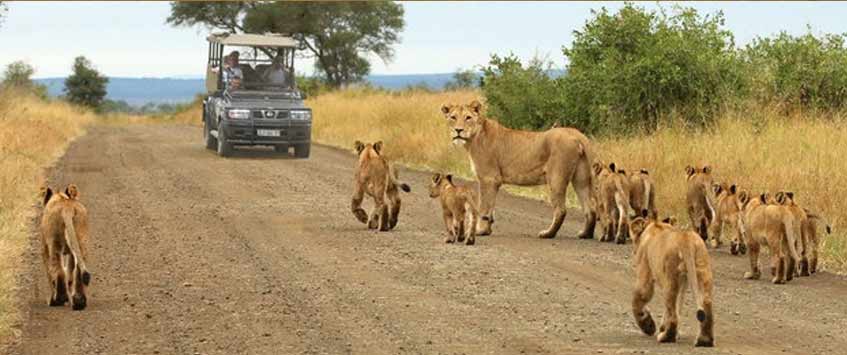 3 Days Tanzania Safari Tours