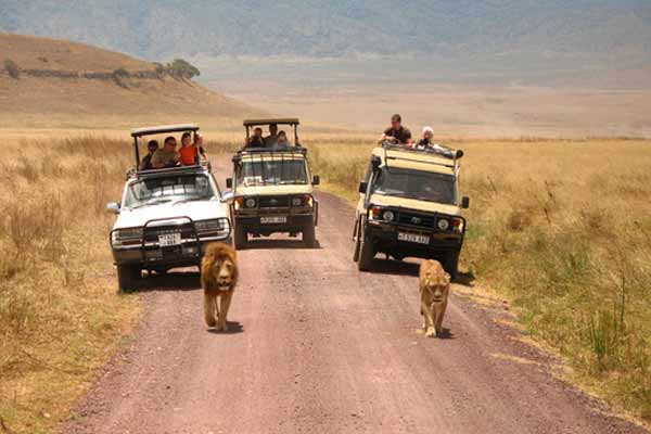 4 Days Tanzania Safari Tours