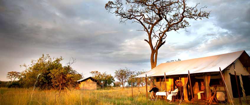 5 Days Tanzania Lodging Tented Safari