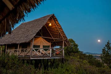 5 Days Tanzania Safari Lodge