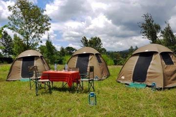 7 Days Budget Camping Safari