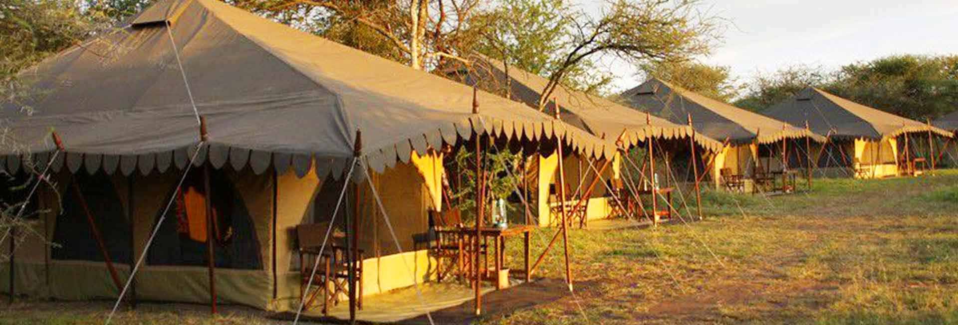 7 Days Budget Camping Safari