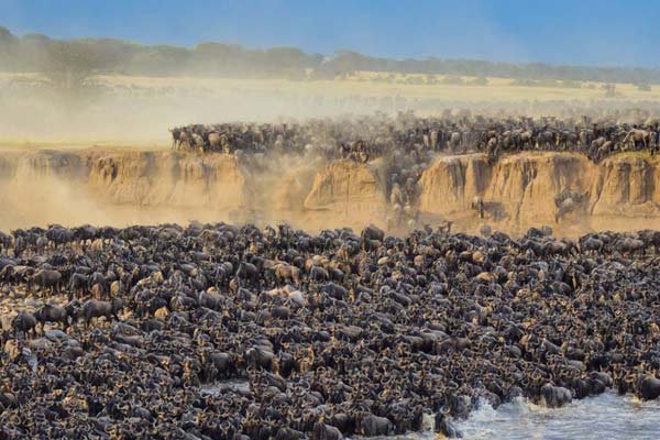 7 Days Serengeti Wildebeest Migration