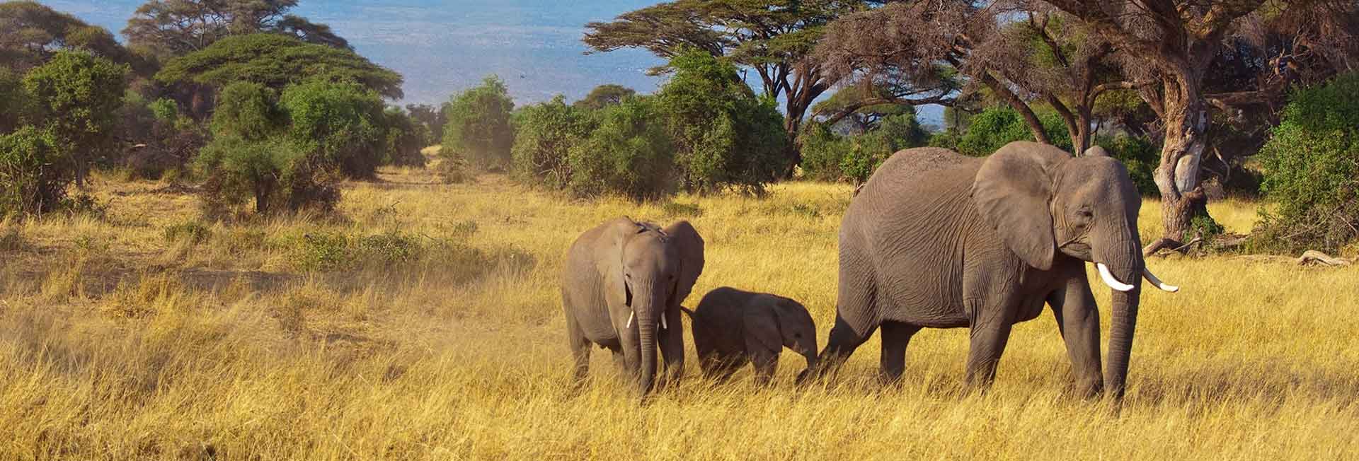 7 Days Private Safari Tanzania