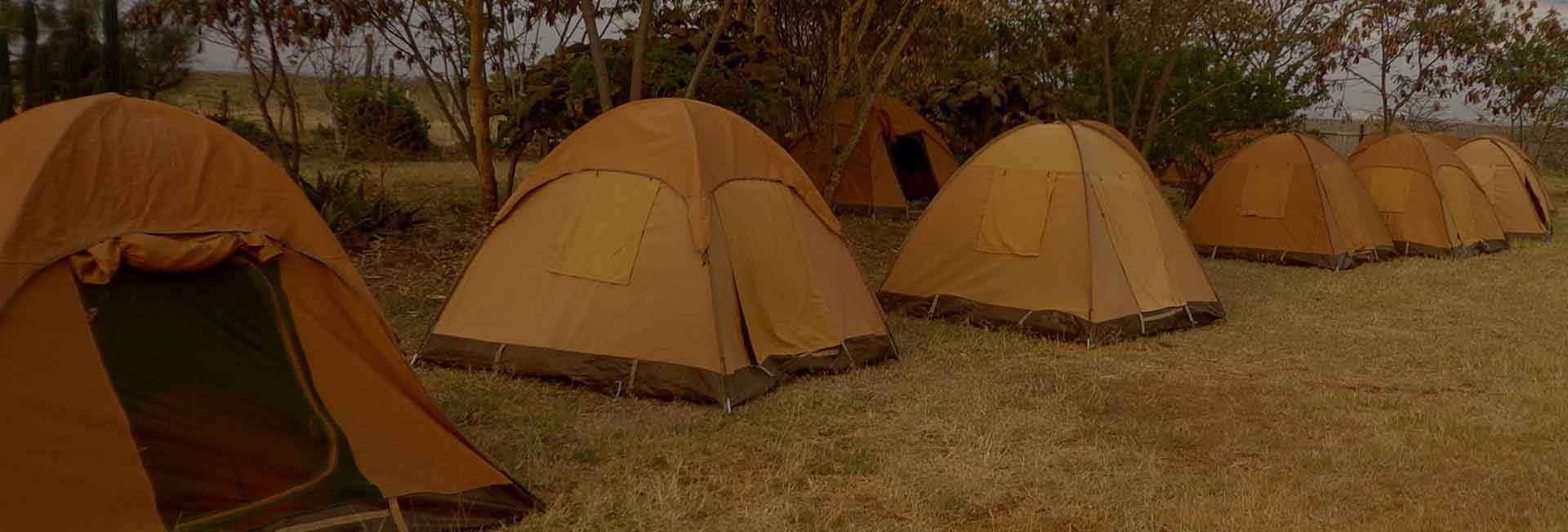 8 Days Budget Camping Safari