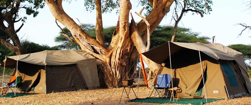 8 Days Budget Camping Safari