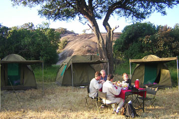 8 Days Budget Camping Safari