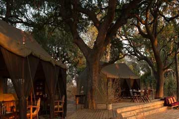 Tanzania Chimpanzee Safari Accommodation