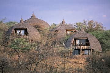 8 Days Tanzania Safari Lodge