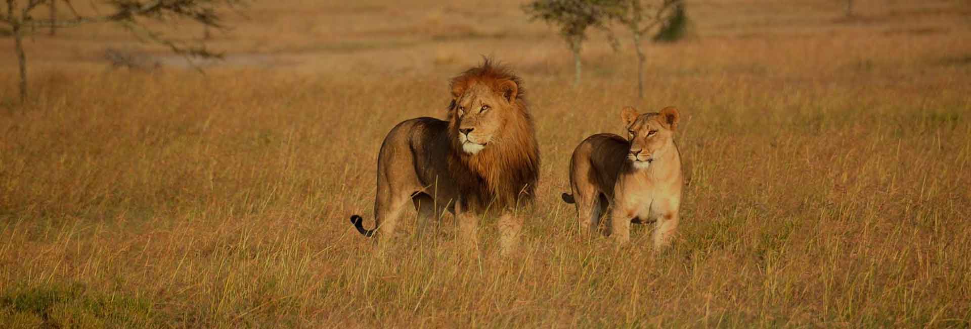 9 Days private safari tanzania