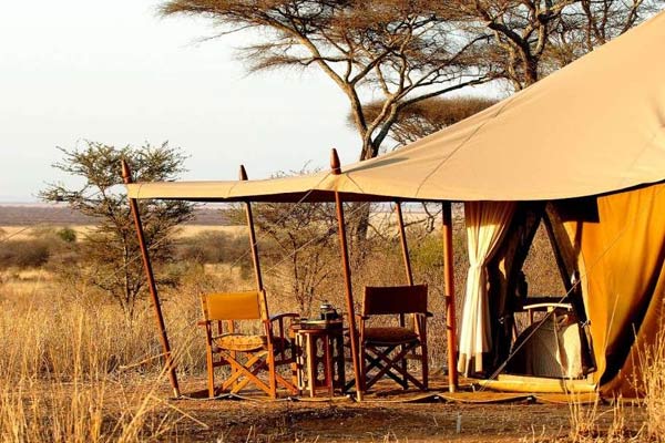 Budget Camping Safari