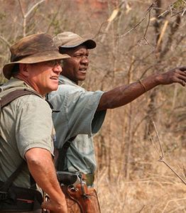 Safari Guides