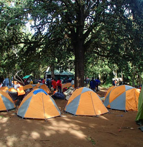 8 Days Lemosho Route