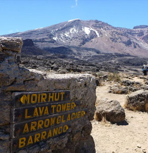 8 Days Lemosho Route