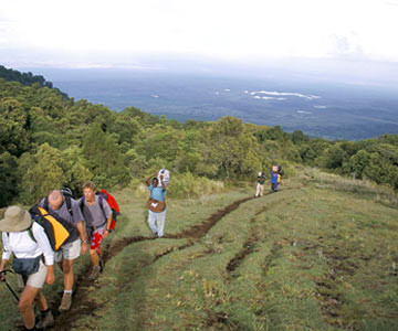 Lemosho Route Accommodation