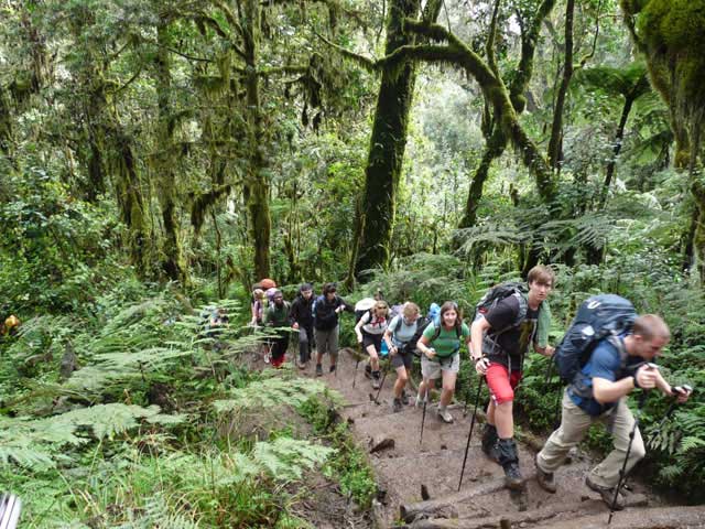 Machame Route